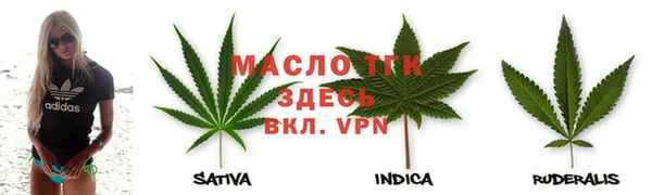 индика Абинск