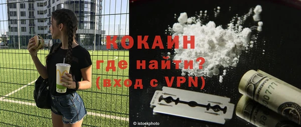 индика Абинск