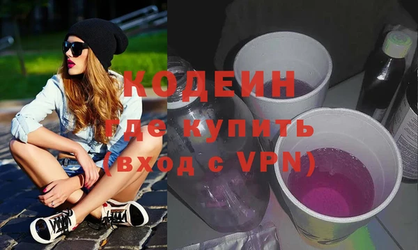 индика Абинск