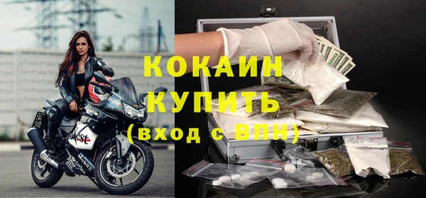 индика Абинск
