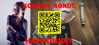 стафф Кингисепп