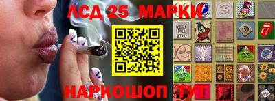 стафф Кингисепп