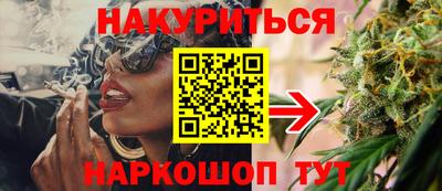 стафф Кингисепп