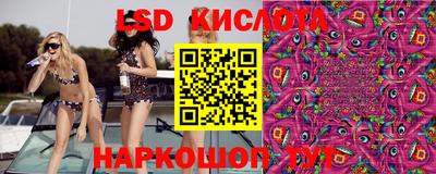 стафф Кингисепп