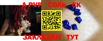 стафф Кингисепп