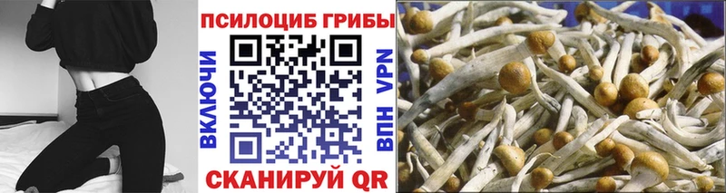 Галлюциногенные грибы прущие грибы  где продают   Лабытнанги 